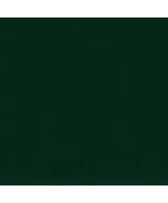 Σπρέι Βαφής Επαγγελματικό Ακρυλικό Ral 6005 Πράσινο Κυπαρισσί  400 ml Minos