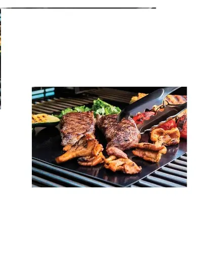 Αντικολλητική Επιφάνεια Ψησίματος 2 Τεμαχίων 40Χ33 10100 Βιοφάν